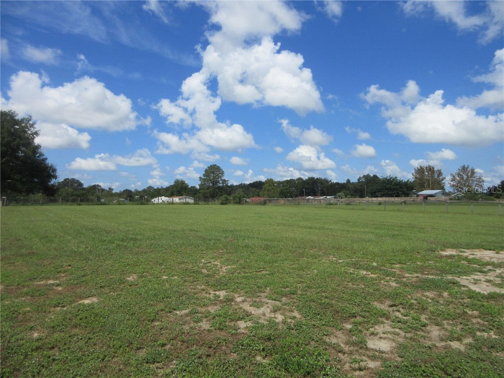 8500 NE 41st Court Anthony FL 32617 OM713024 image79