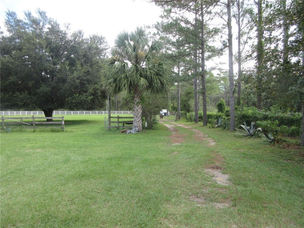 8500 NE 41st Court Anthony FL 32617 OM713024 image96