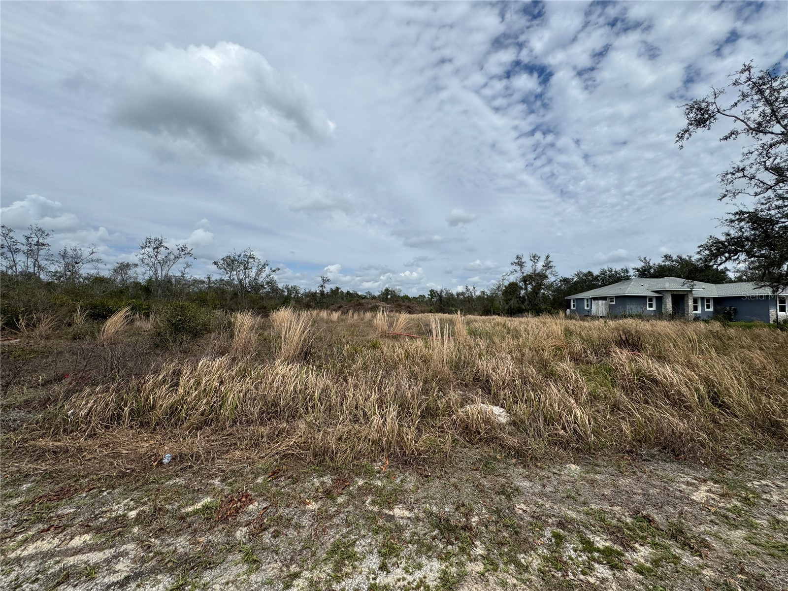 8500 SW Aviary Road Arcadia FL 34269 C7523444 image3