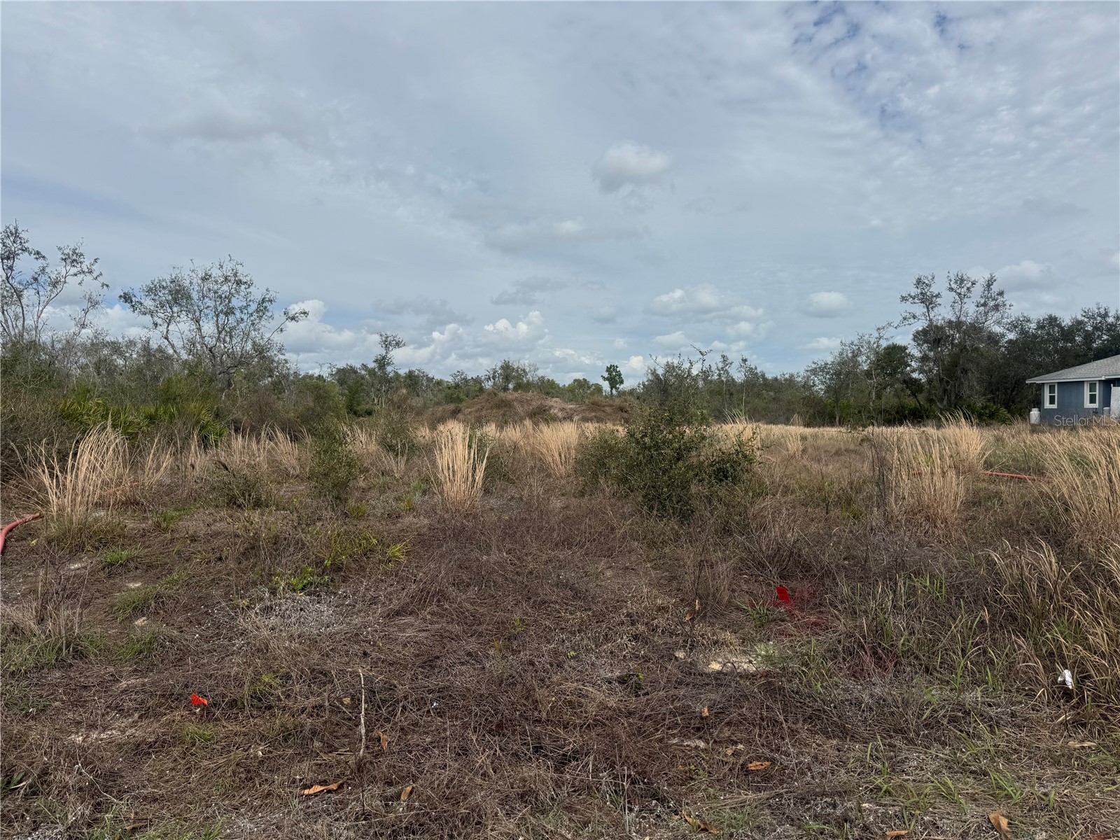 8500 SW Aviary Road Arcadia FL 34269 C7523444 image4