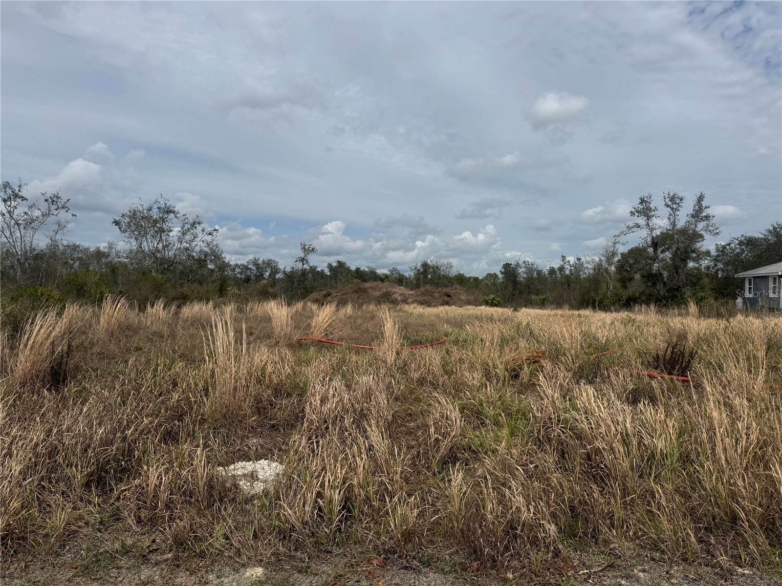 8500 SW Aviary Road Arcadia FL 34269 C7523444 image5