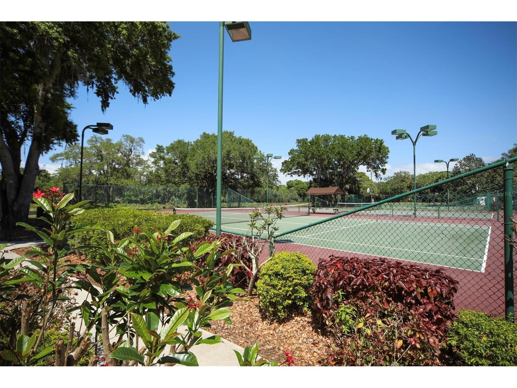 8501 Park Shore Lane Sarasota FL 34238 A4691815 image44