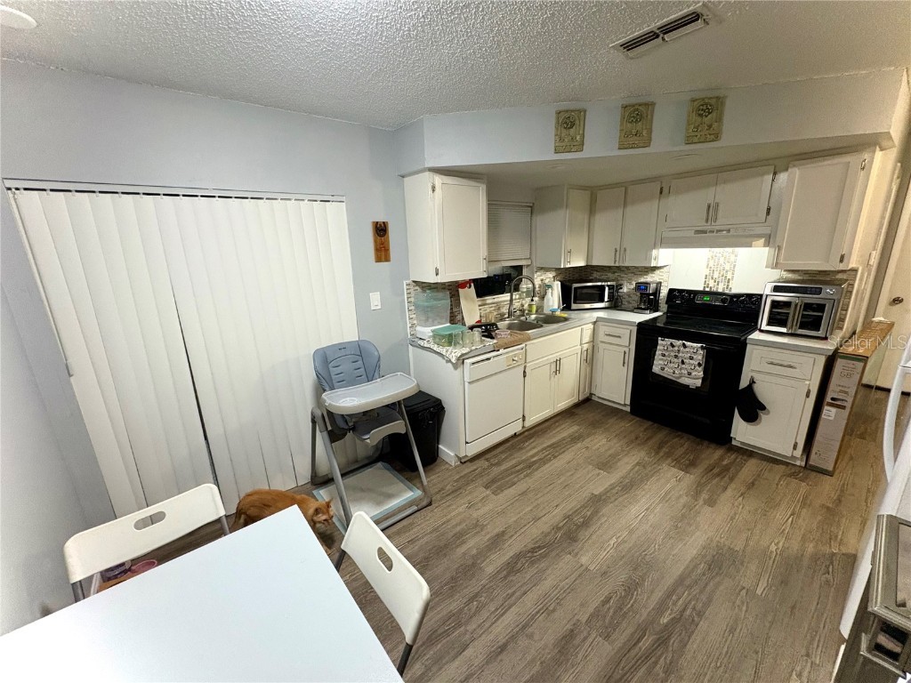 8501 Paxton Drive Port Richey FL 34668 O6366627 image6