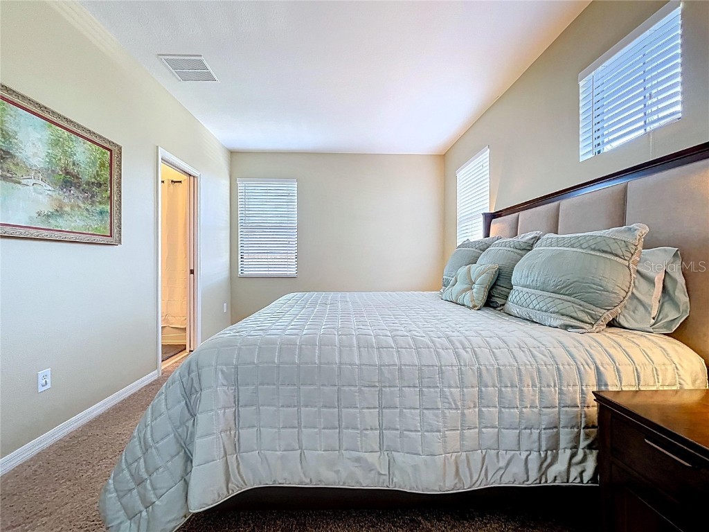 8501 White Poplar Drive Riverview FL 33578 TB8441658 image33