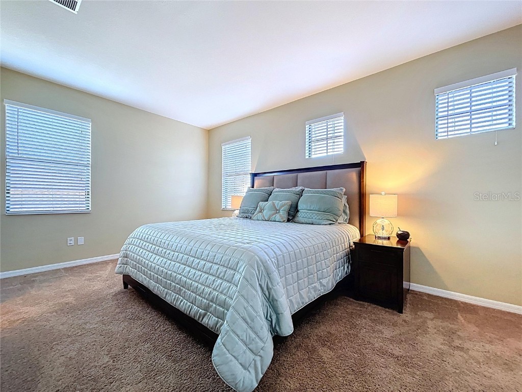 8501 White Poplar Drive Riverview FL 33578 TB8441658 image35