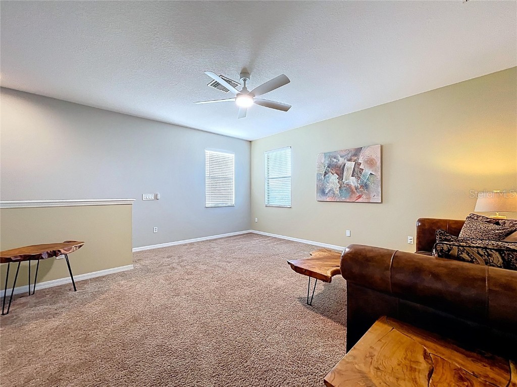 8501 White Poplar Drive Riverview FL 33578 TB8441658 image38