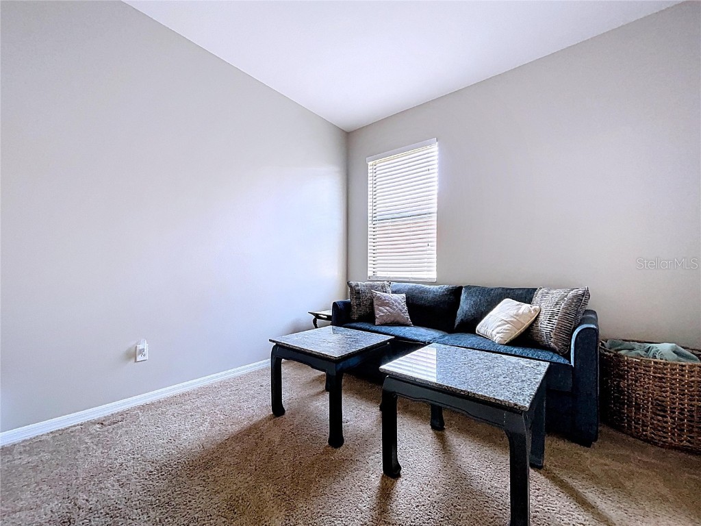 8501 White Poplar Drive Riverview FL 33578 TB8441658 image51