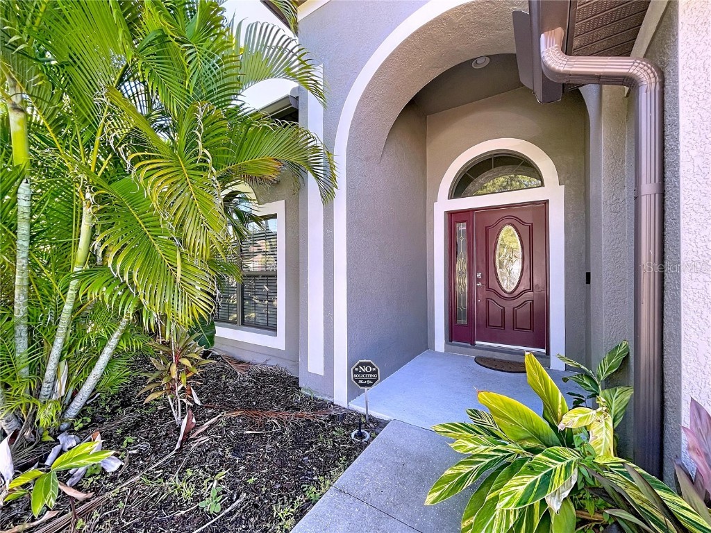 8501 White Poplar Drive Riverview FL 33578 TB8441658 image9