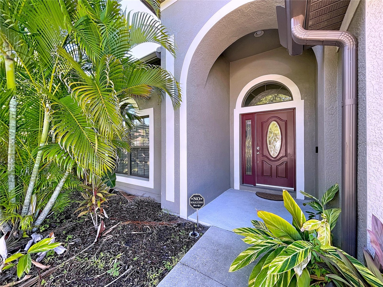 8501 White Poplar Drive Riverview FL 33578 TB8484648 image2