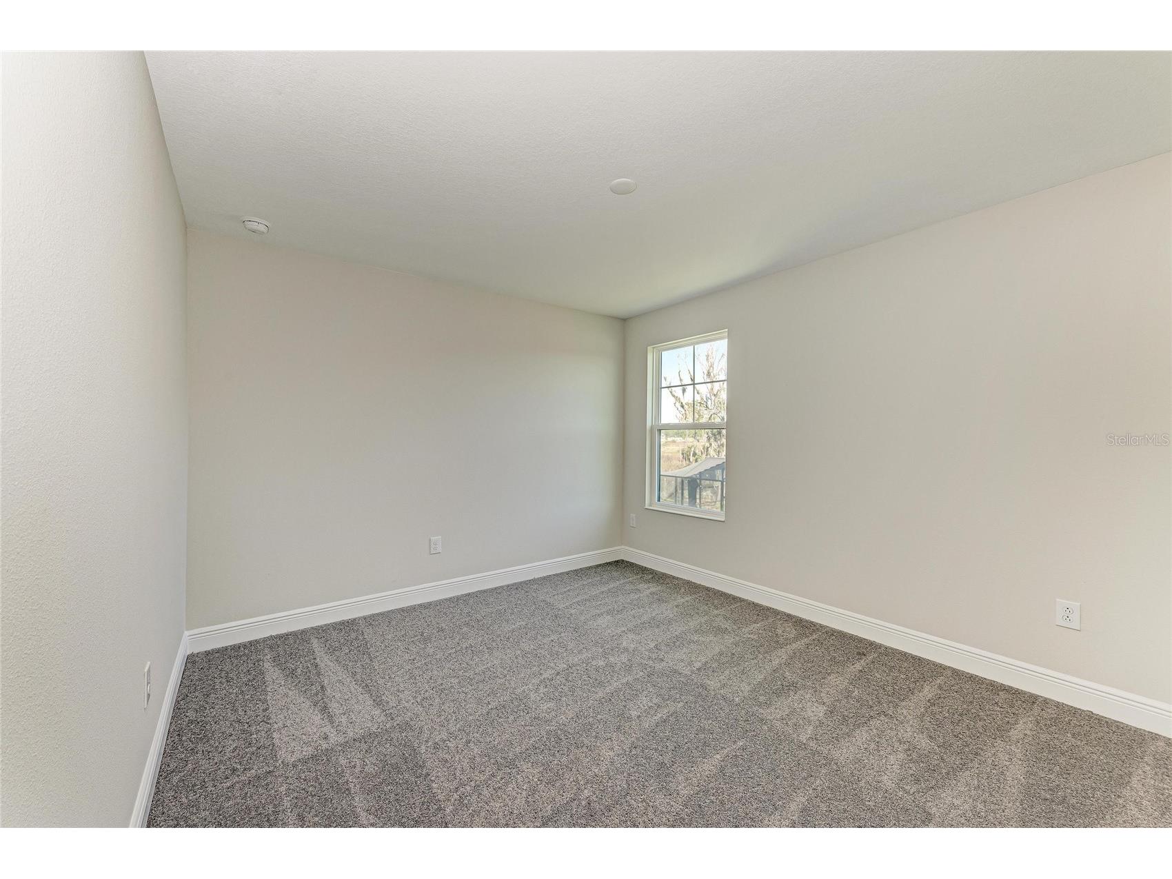 8502 Dove Bog Terrace Parrish FL 34219 TB8474147 image22