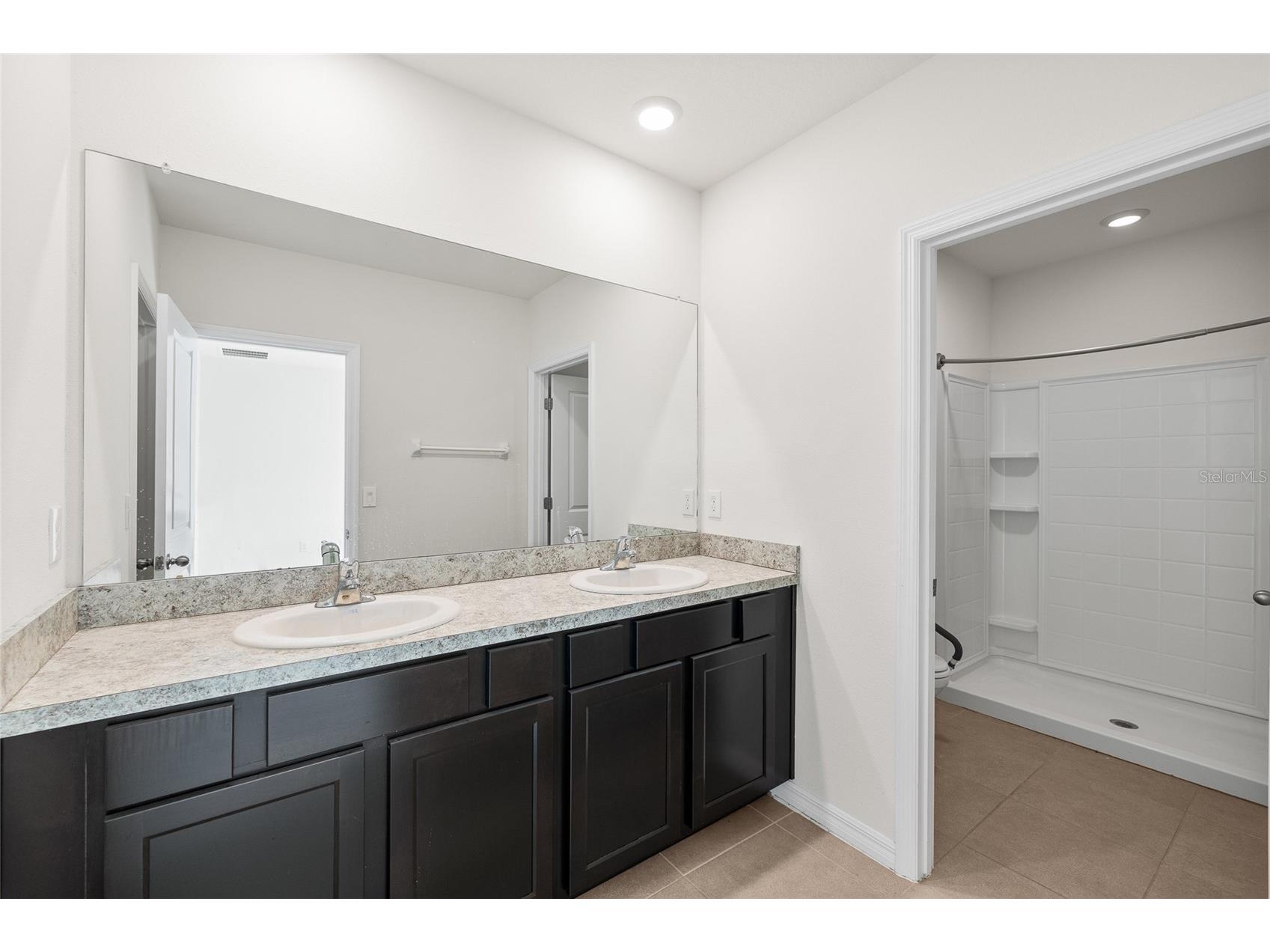 8502 Falling Blue Place Riverview FL 33578 TB8482724 image3