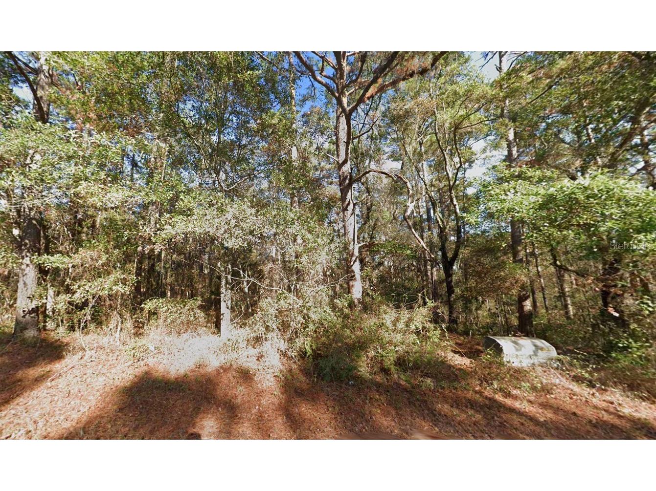 8502 Scott Tower Road Tallahassee FL 32312 A4689760 image2