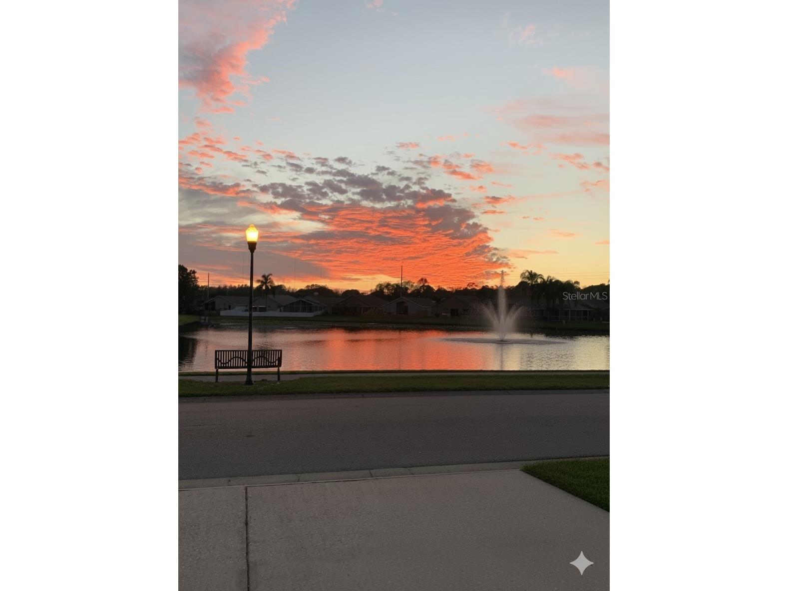 8503 Bella Way Tampa FL 33635 TB8507747 image24