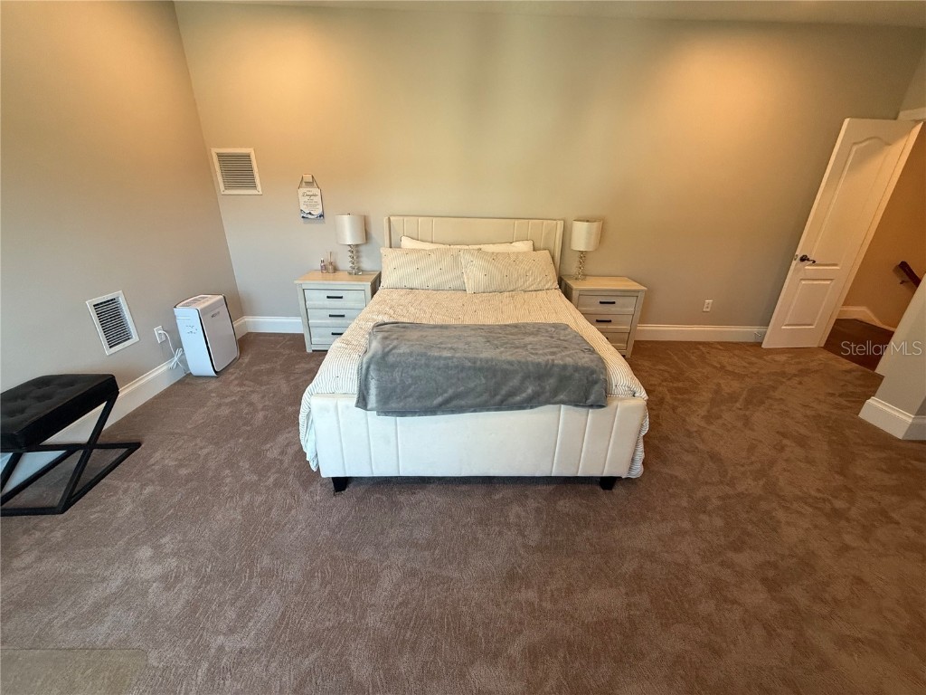 8503 Kentucky Derby Drive Odessa FL 33556 TB8348215 image28