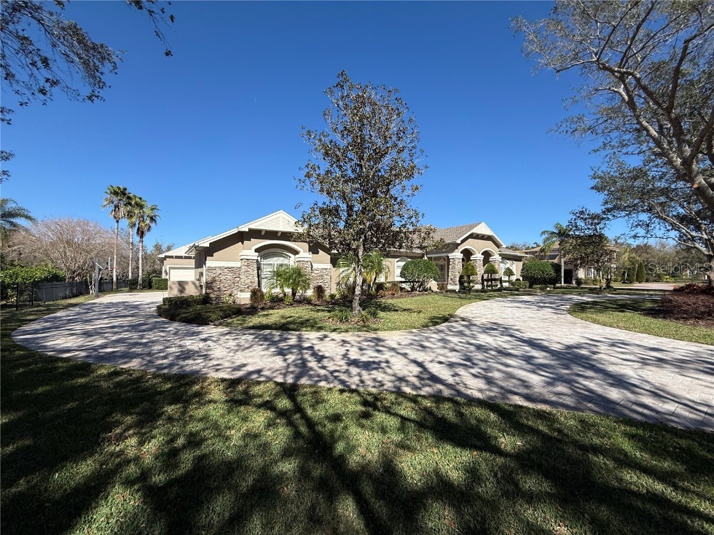 8503 Kentucky Derby Drive Odessa FL 33556 TB8348215 image39