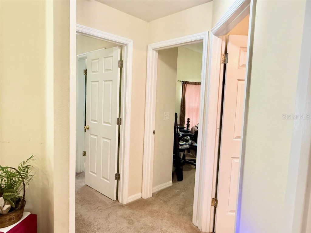 8503 Plumeria Avenue Orlando FL 32825 O6336735 image9