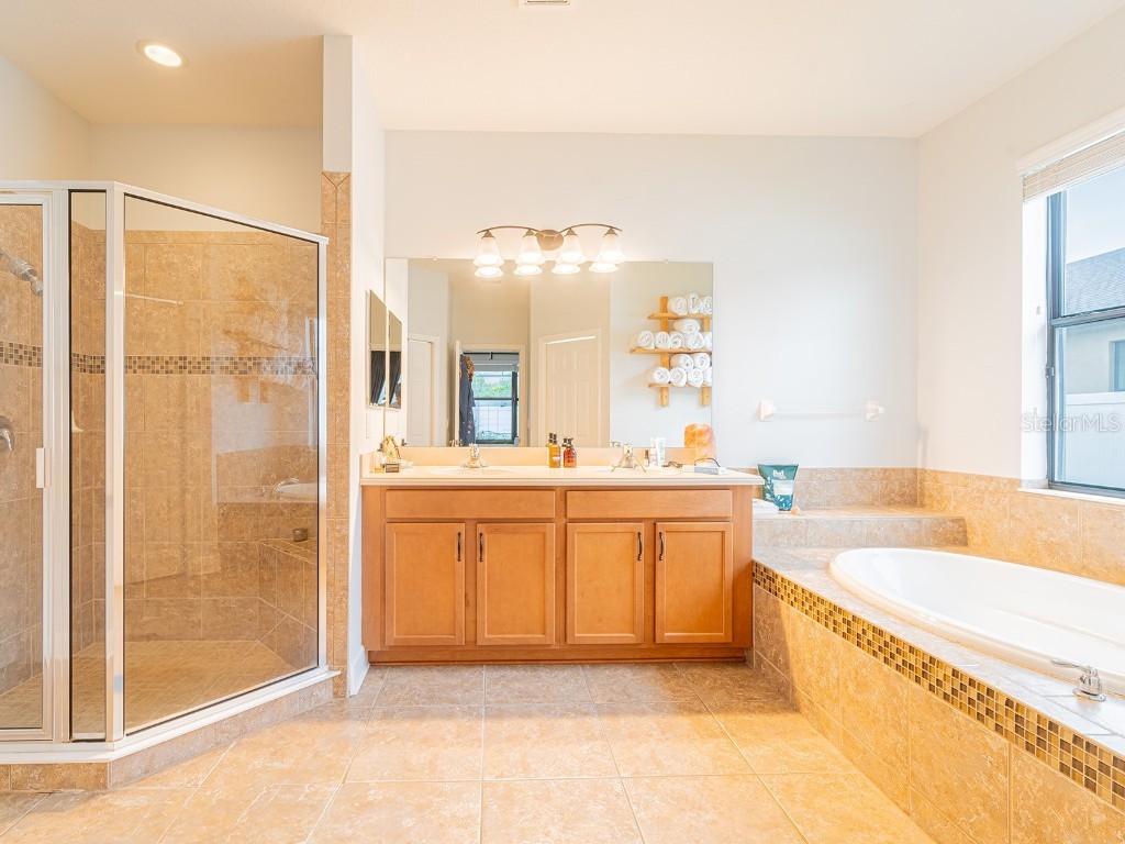 8503 White Poplar Drive Riverview FL 33578 O6332780 image27