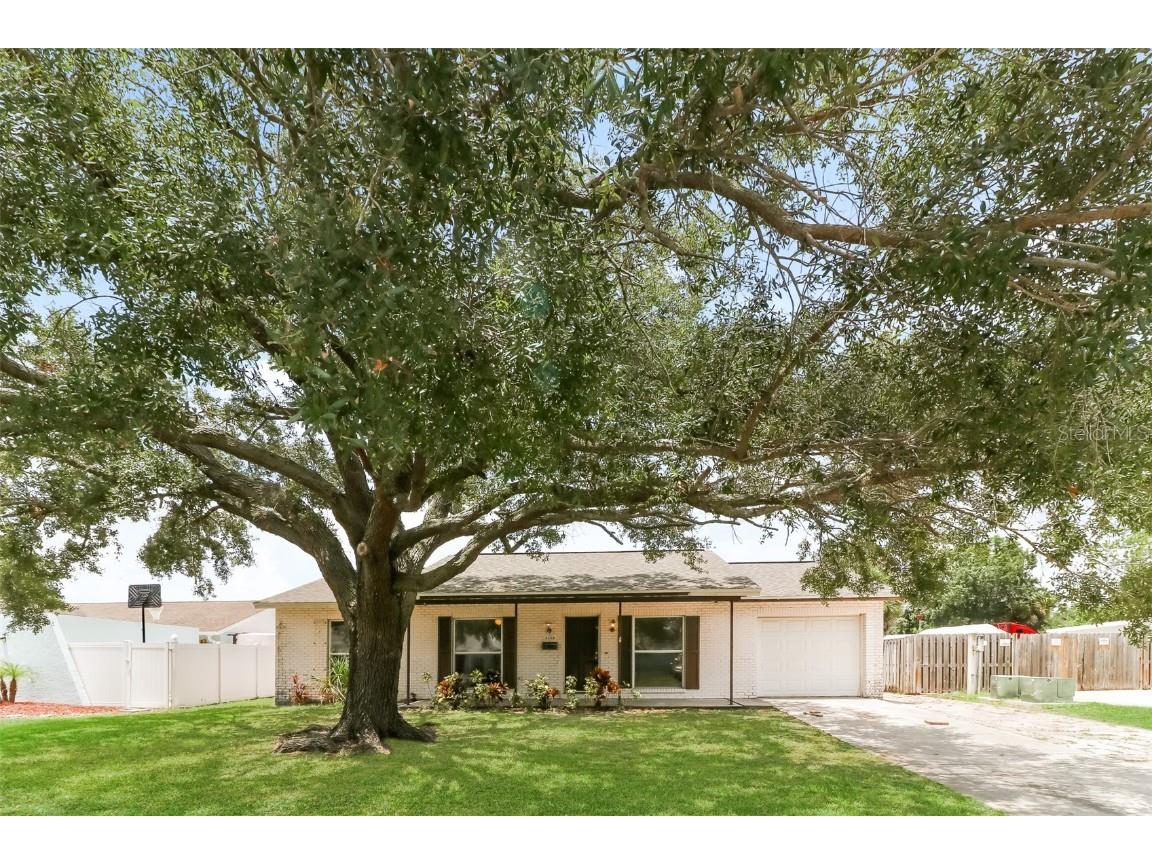 8503 Woodhurst Drive Tampa FL 33615 U8206952 image1