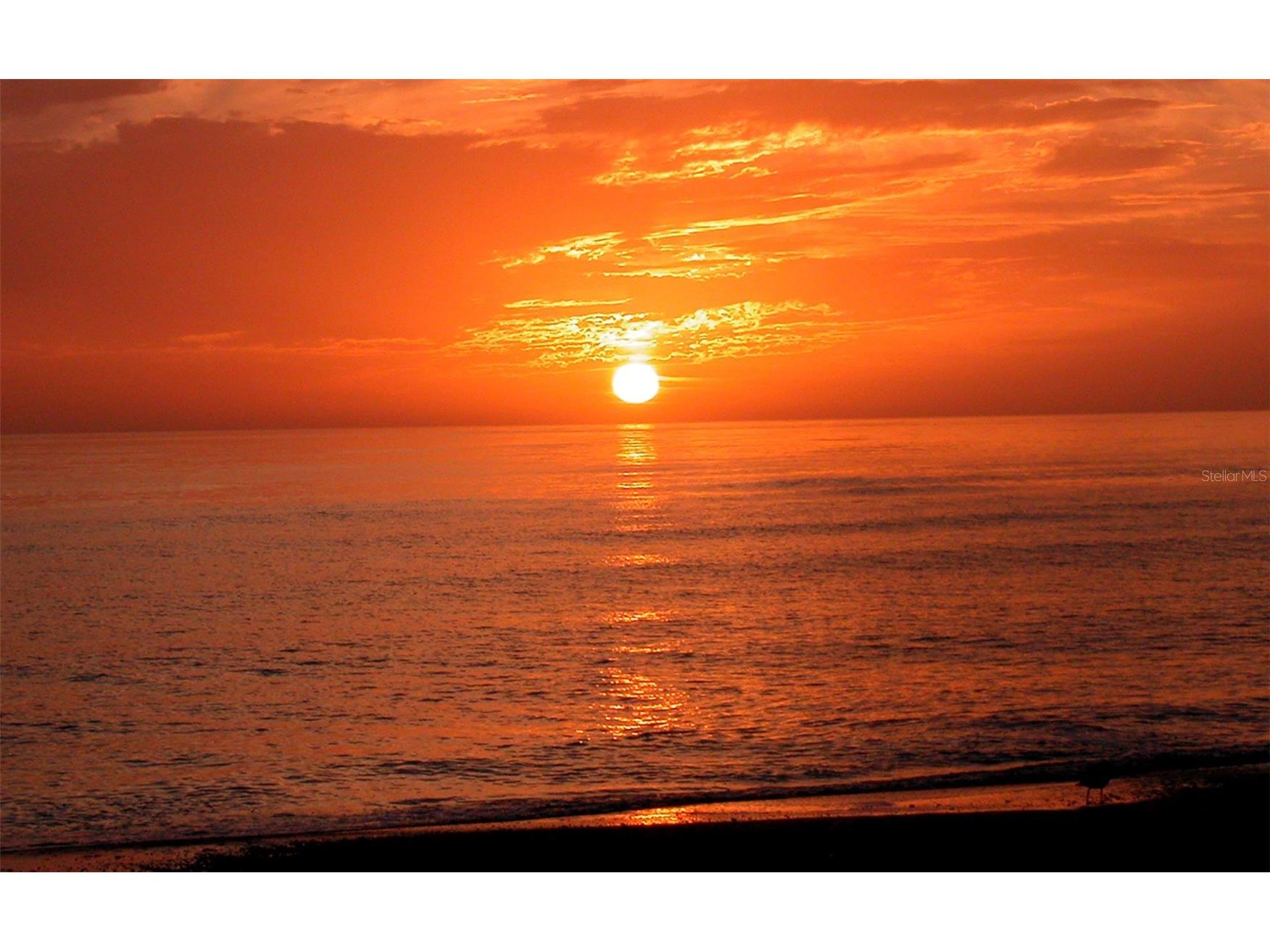 8504 Heron Lagoon Circle Sarasota FL 34242 A4681098 image15