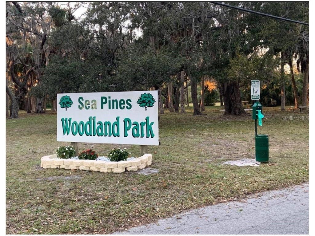 8504 Lafitte Drive Hudson FL 34667 W7876697 image13