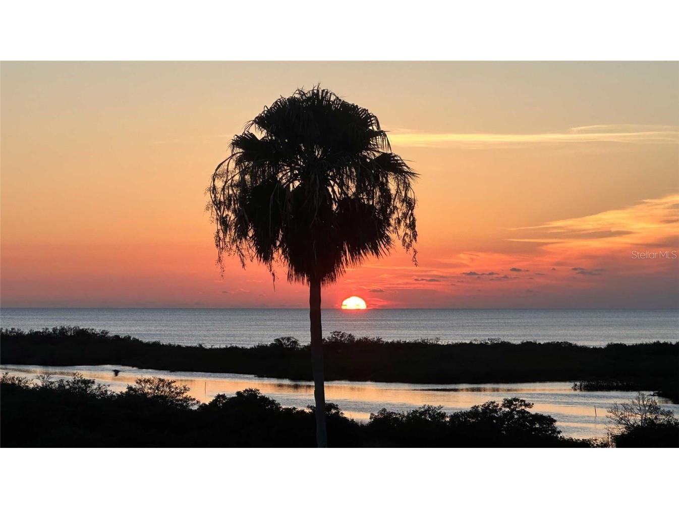 8504 Lafitte Drive Hudson FL 34667 W7876697 image14