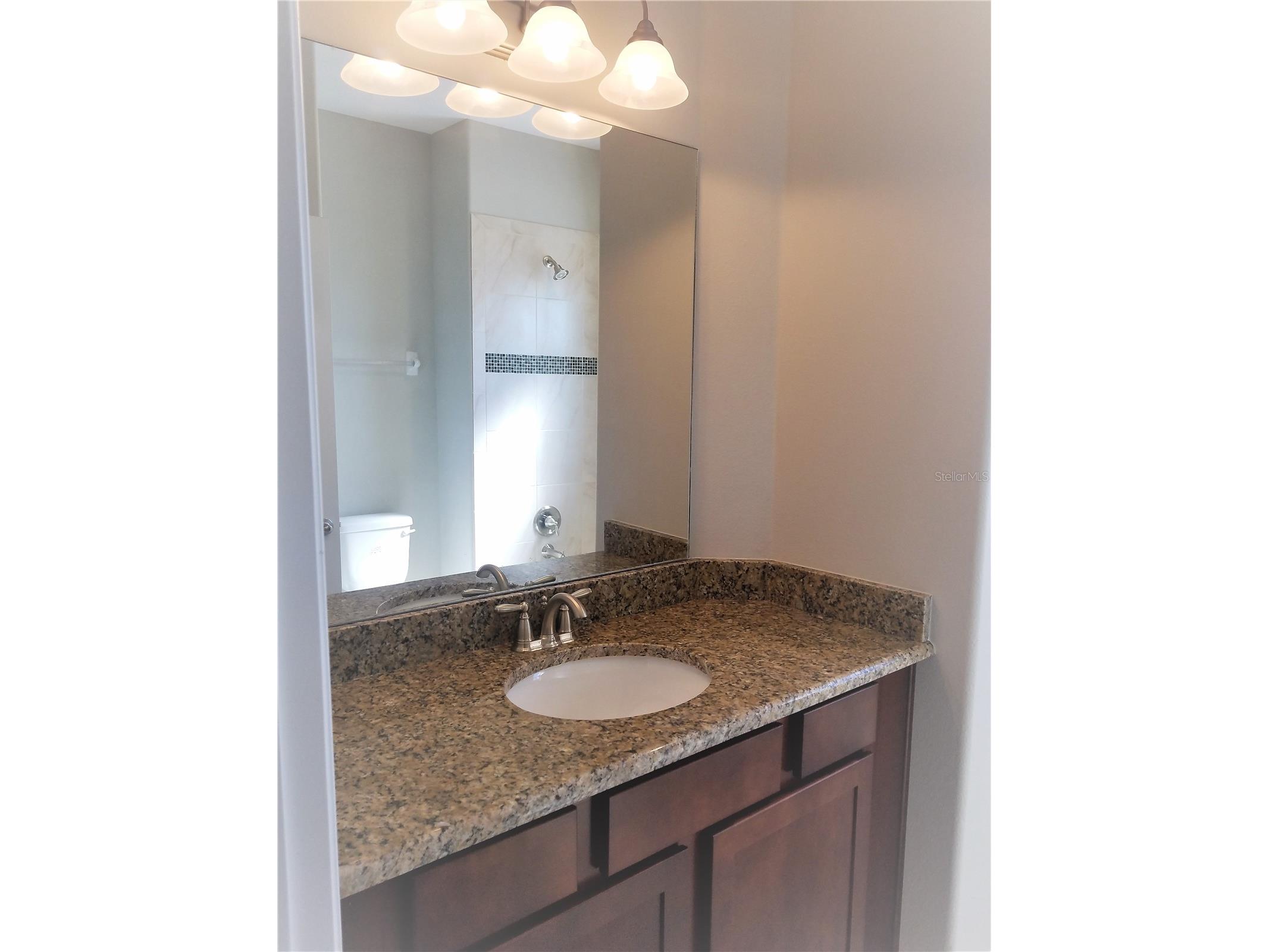 8504 Magnificent Lane Groveland FL 34736 S5151820 image11