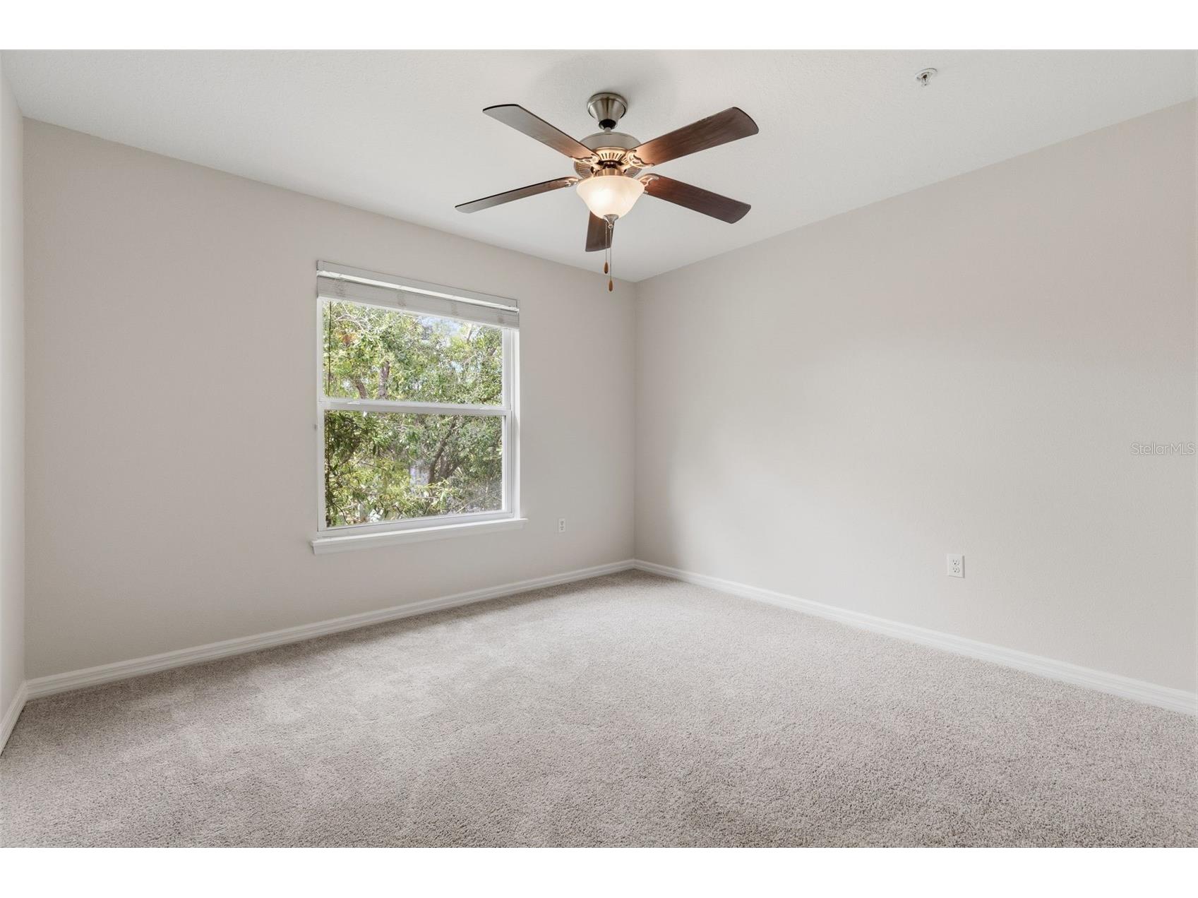 8505 Andalucia Field Drive Temple Terrace FL 33637 TB8499941 image19