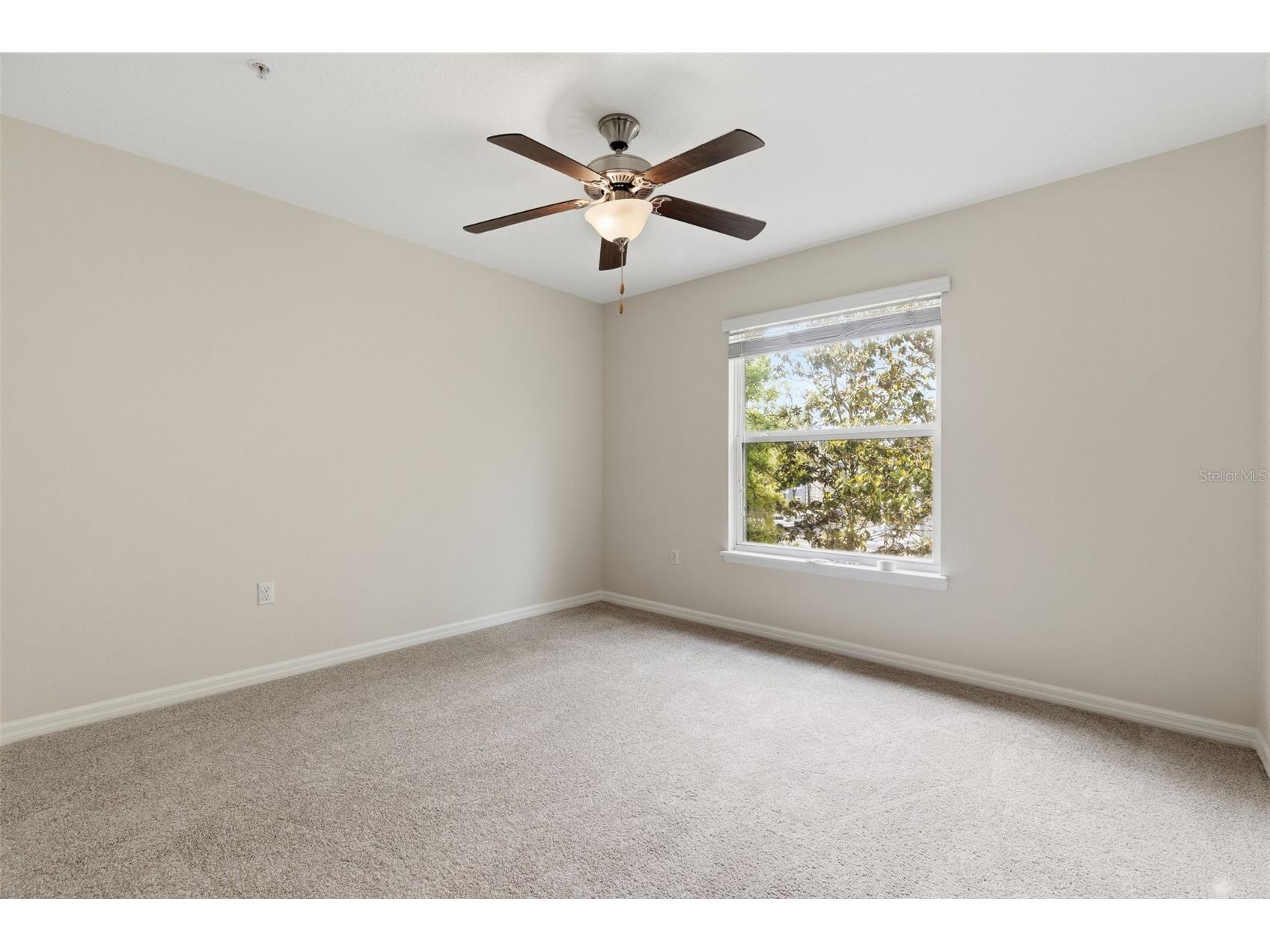 8505 Andalucia Field Drive Temple Terrace FL 33637 TB8499941 image21
