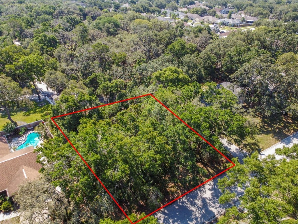 8505 Dee Circle Riverview FL 33569 T3449247 image1