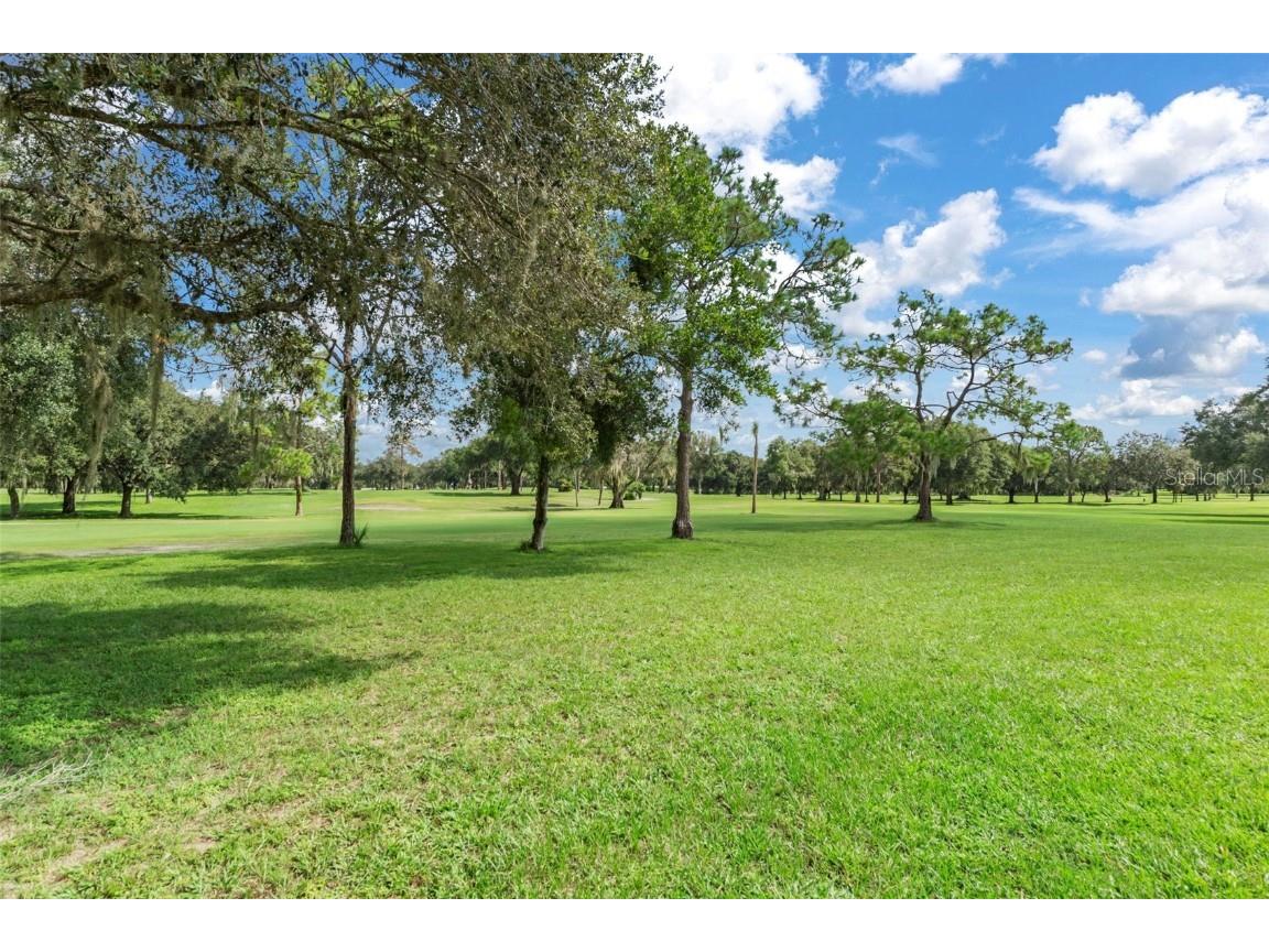 8505 E Sandpiper Drive Inverness FL 34450 OM708191 image45