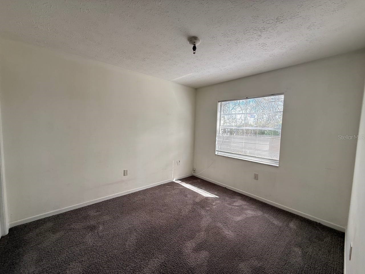 8505 N Tampa Street #B Tampa FL 33604 TB8485362 image7
