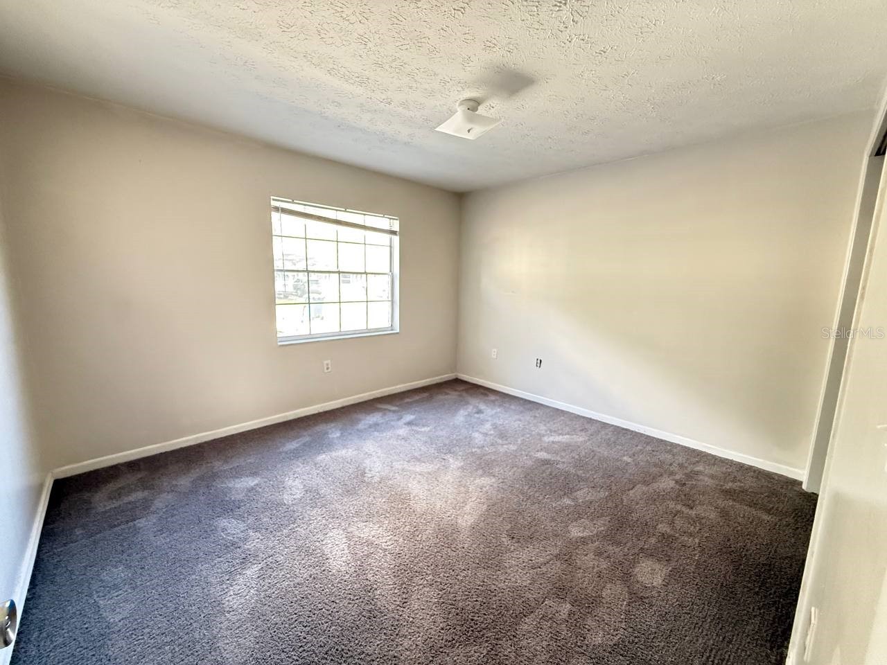 8505 N Tampa Street #B Tampa FL 33604 TB8485362 image8