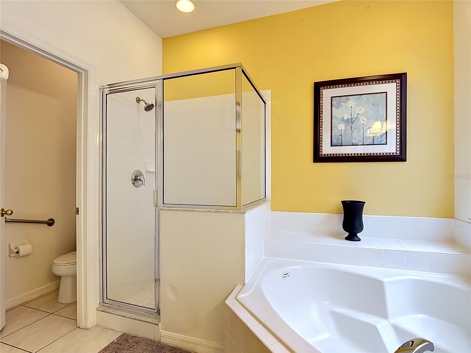 8505 Palm Harbor Dr Kissimmee FL 34747 O6412850 image13