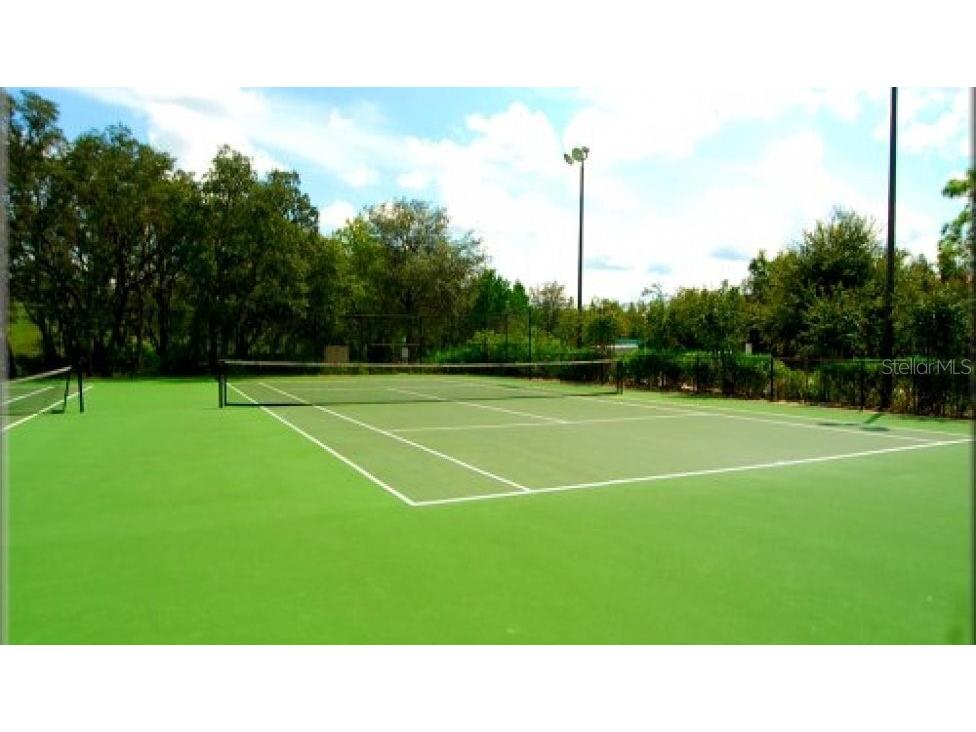 8505 Palm Harbor Dr Kissimmee FL 34747 O6412850 image45