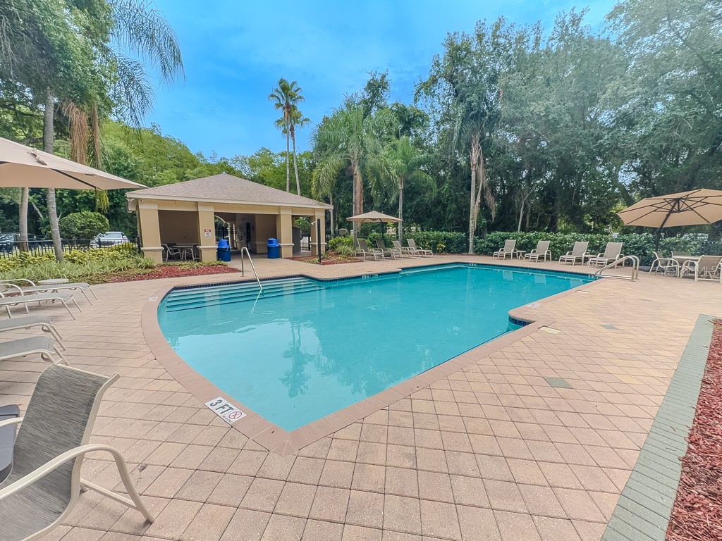 8505 Sandy Beach Street Tampa FL 33634 - POND TB8518117 image2