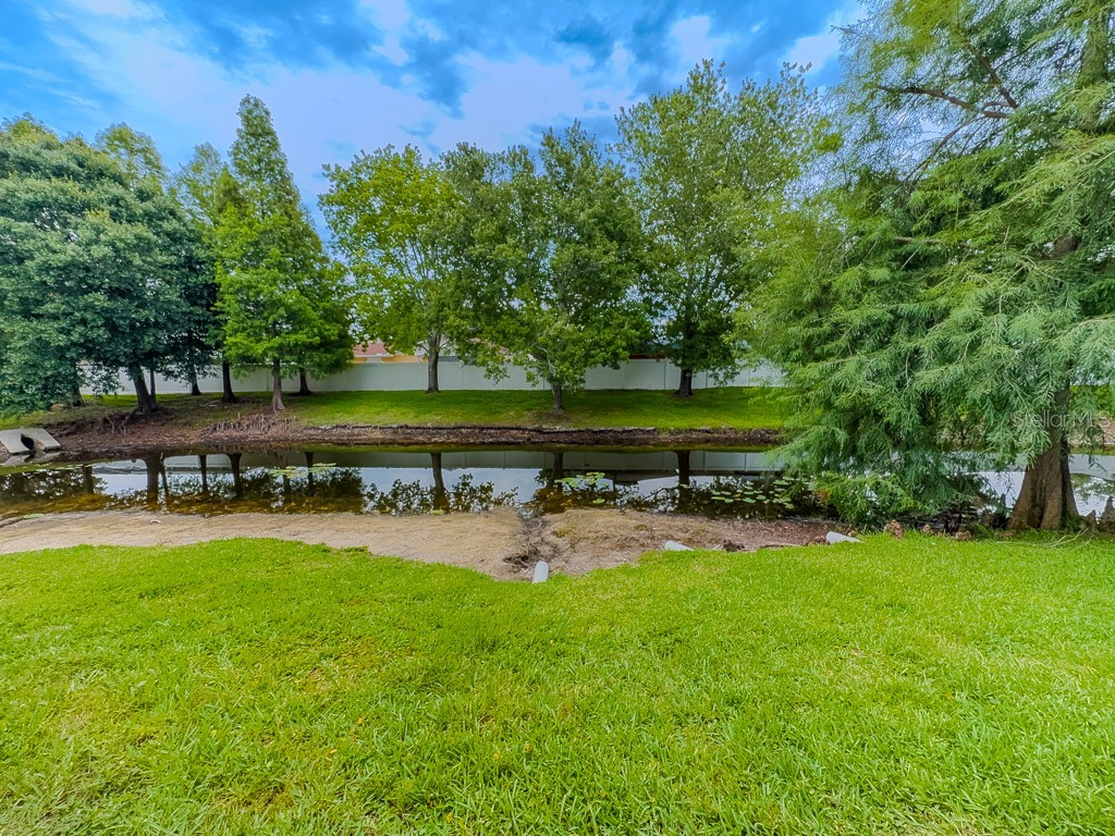 8505 Sandy Beach Street Tampa FL 33634 - POND TB8518117 image41