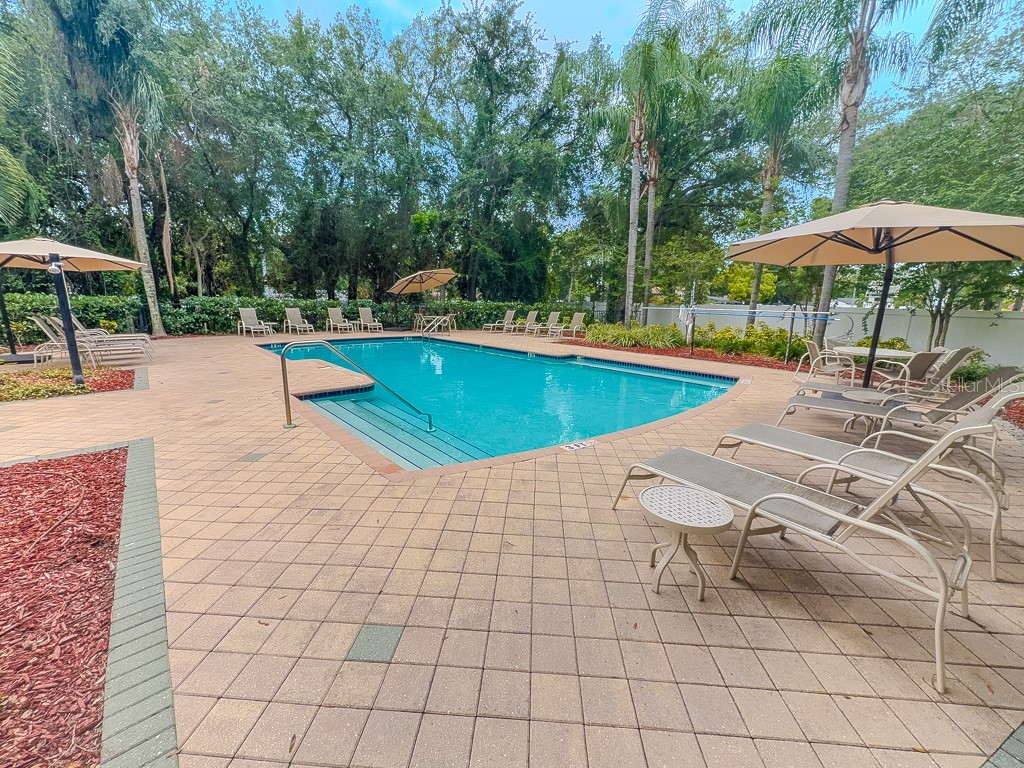 8505 Sandy Beach Street Tampa FL 33634 - POND TB8518117 image46
