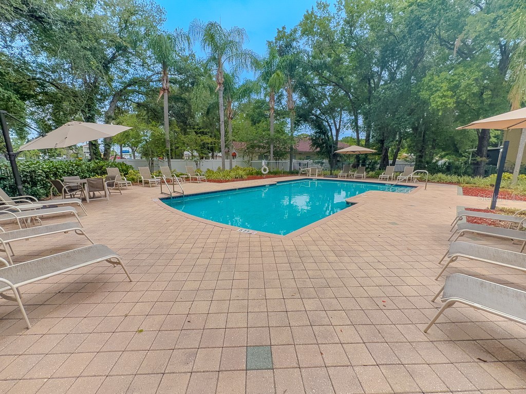 8505 Sandy Beach Street Tampa FL 33634 - POND TB8518117 image48