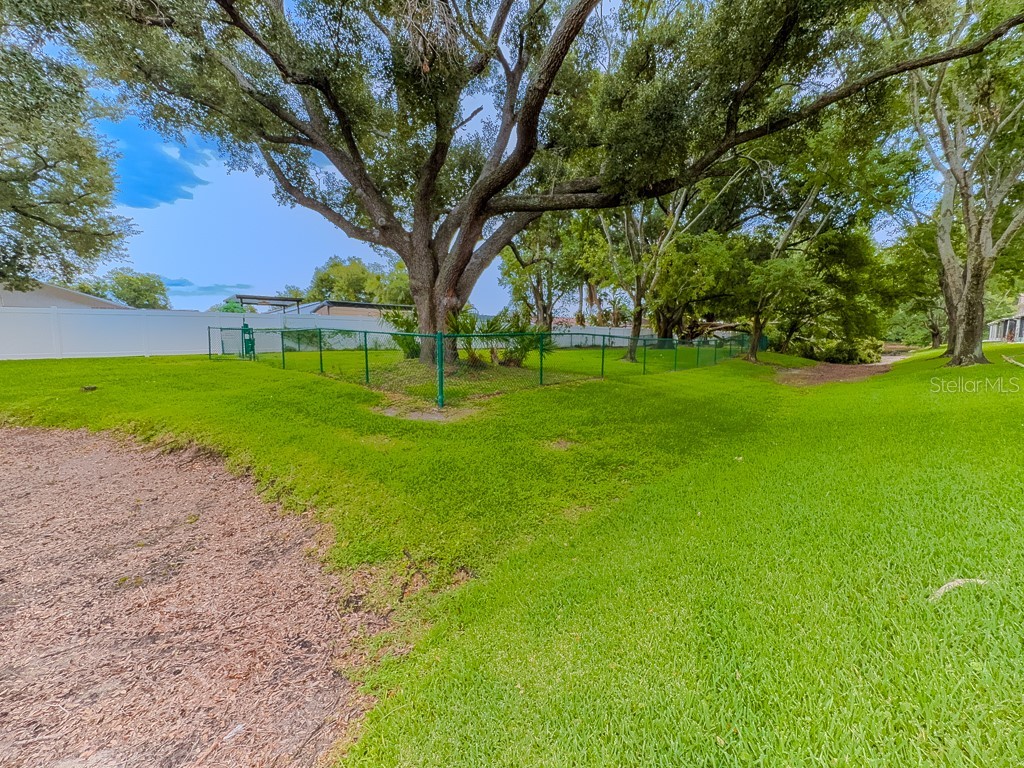 8505 Sandy Beach Street Tampa FL 33634 - POND TB8518117 image51