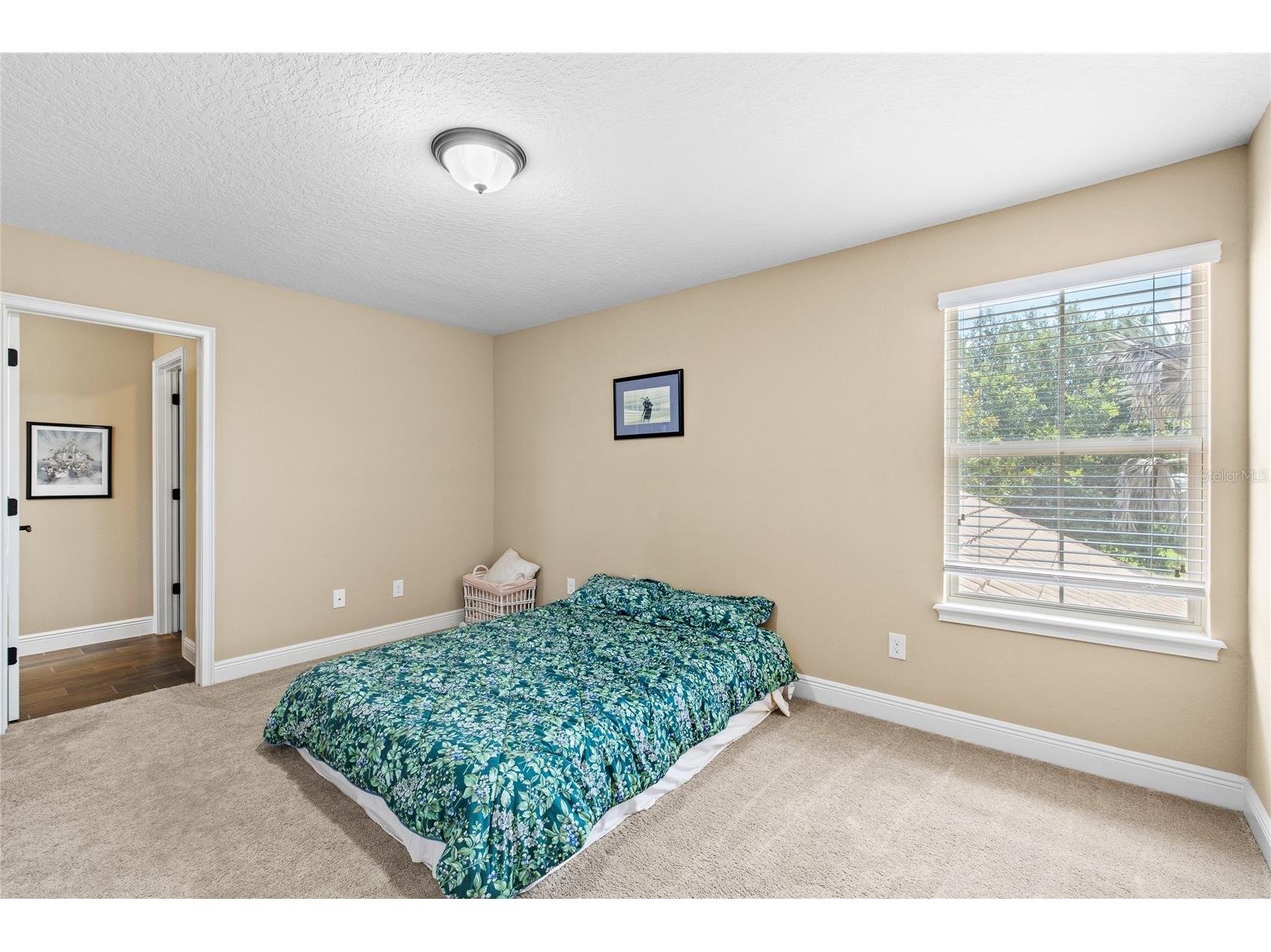 8506 Bayview Crossing Drive Winter Garden FL 34787 - HICKORYNUT LAKE O6421255 image31