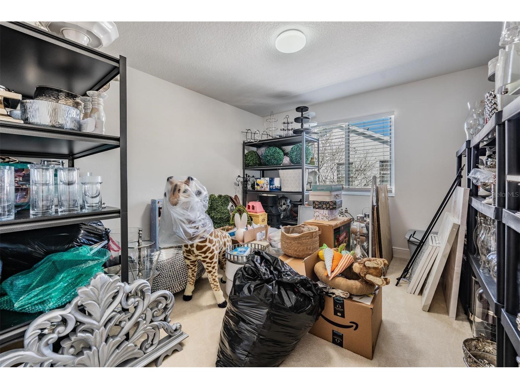 8506 Eagle Brook Drive Land O Lakes FL 34638 TB8469210 image32