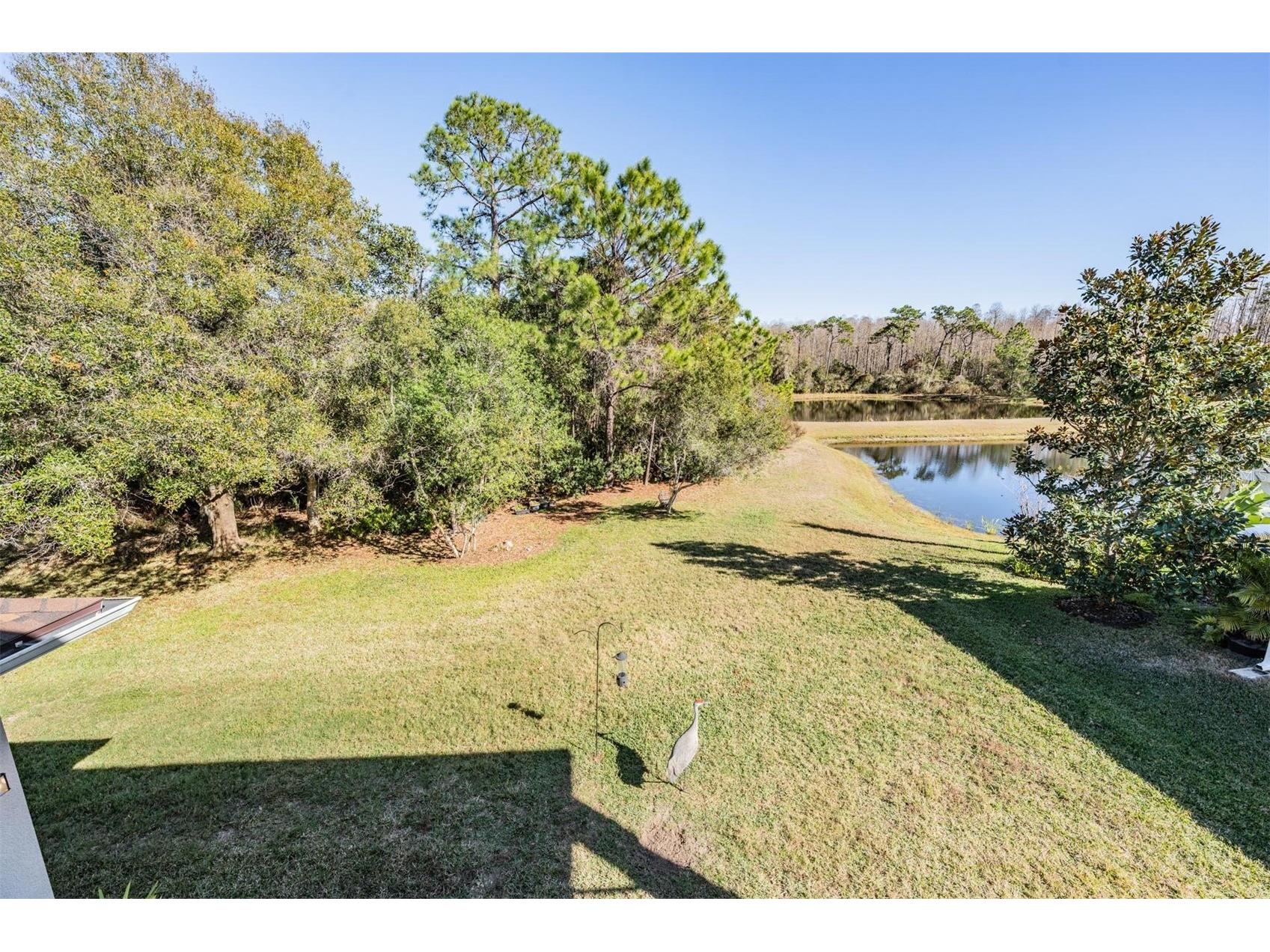 8506 Eagle Brook Drive Land O Lakes FL 34638 TB8469210 image38