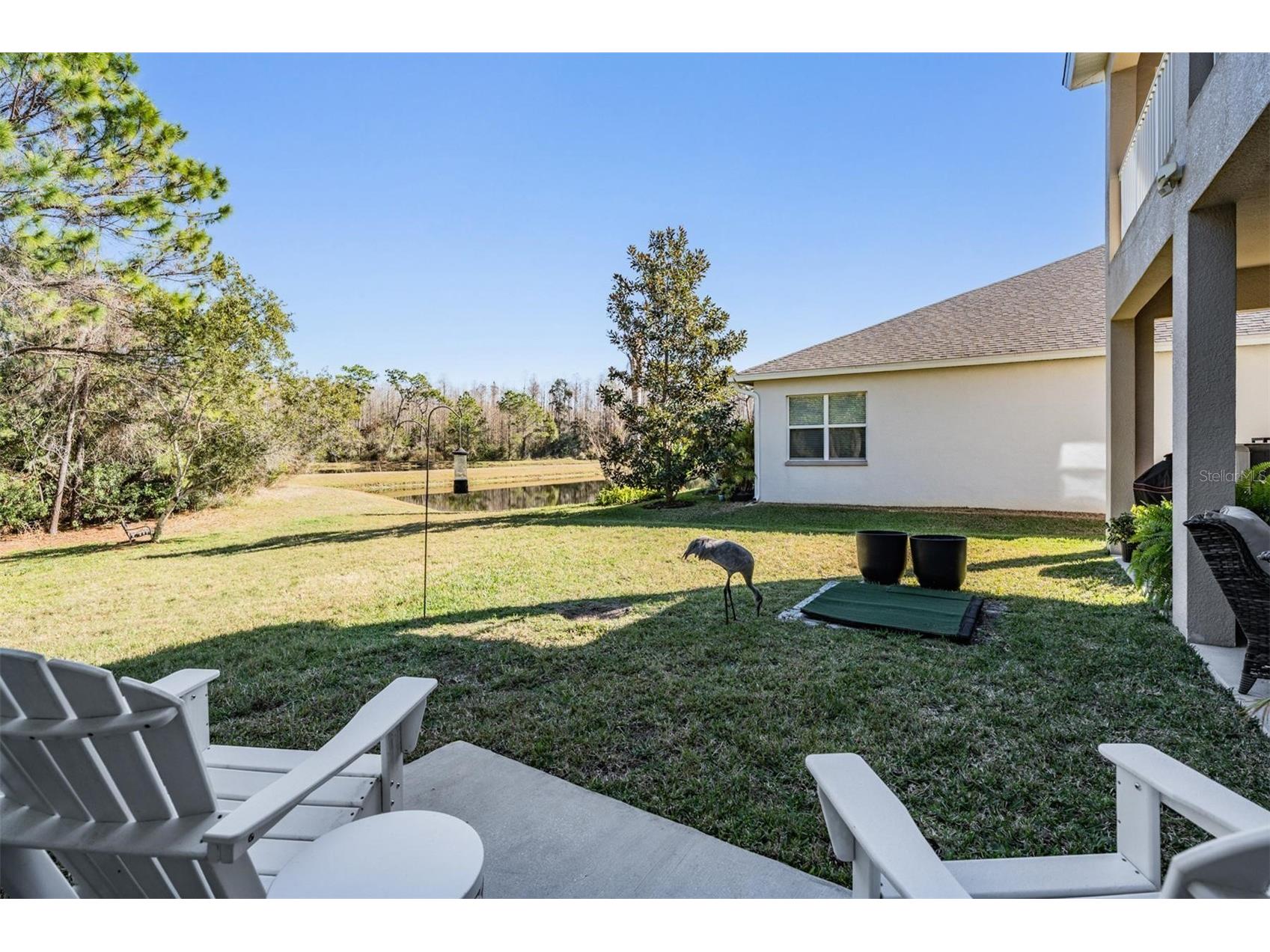 8506 Eagle Brook Drive Land O Lakes FL 34638 TB8469210 image42