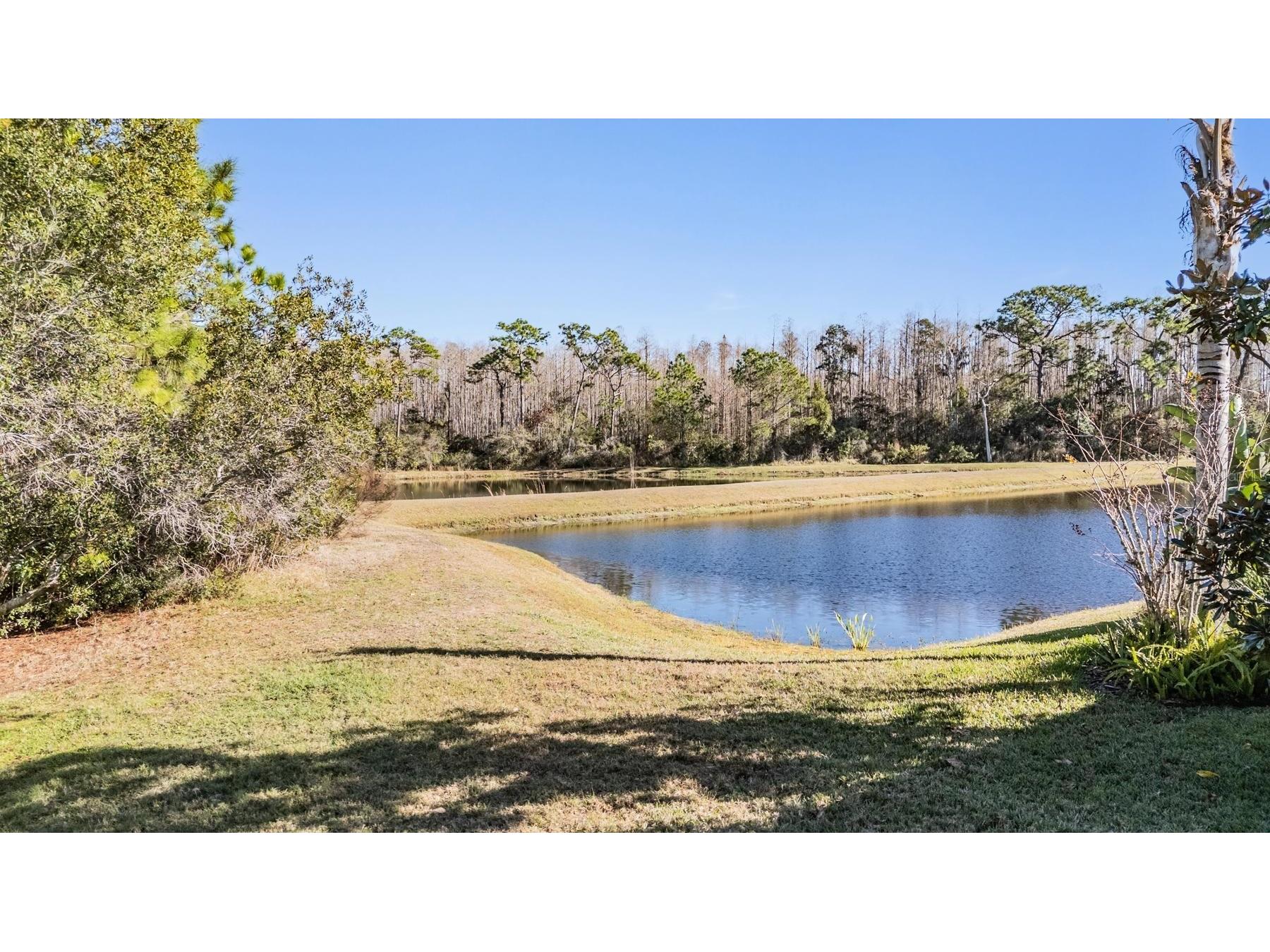8506 Eagle Brook Drive Land O Lakes FL 34638 TB8469210 image44