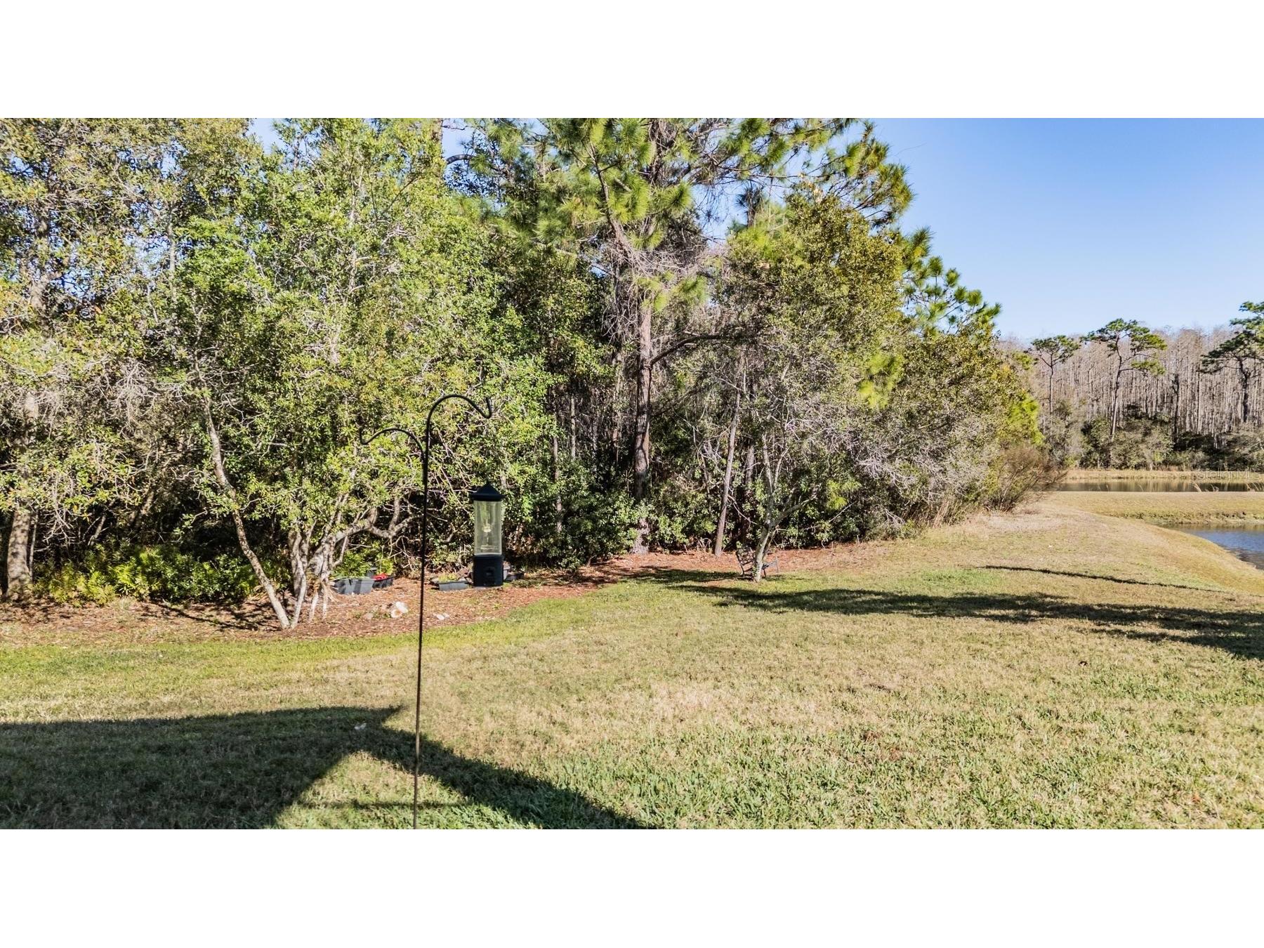 8506 Eagle Brook Drive Land O Lakes FL 34638 TB8469210 image49