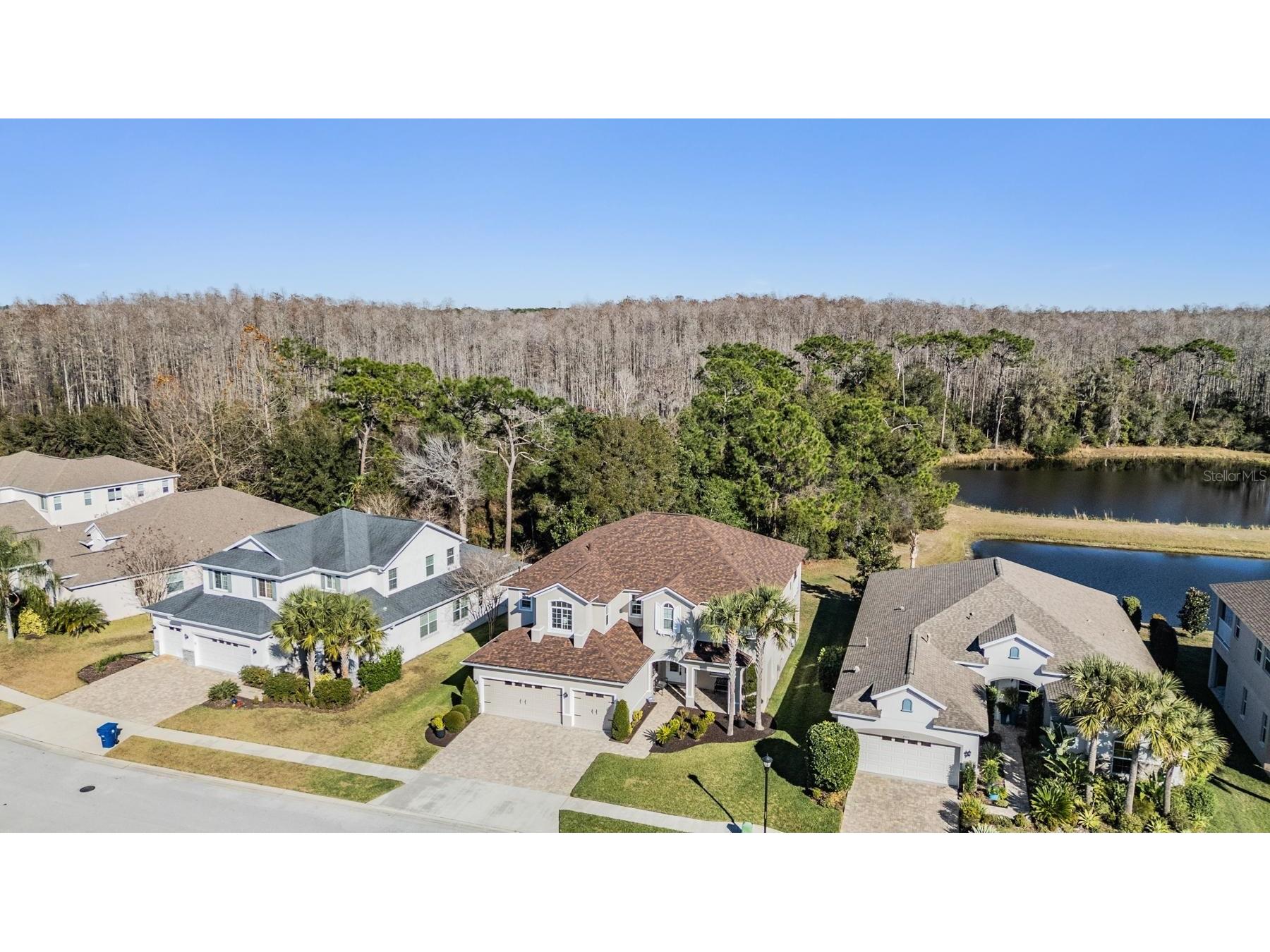 8506 Eagle Brook Drive Land O Lakes FL 34638 TB8469210 image50