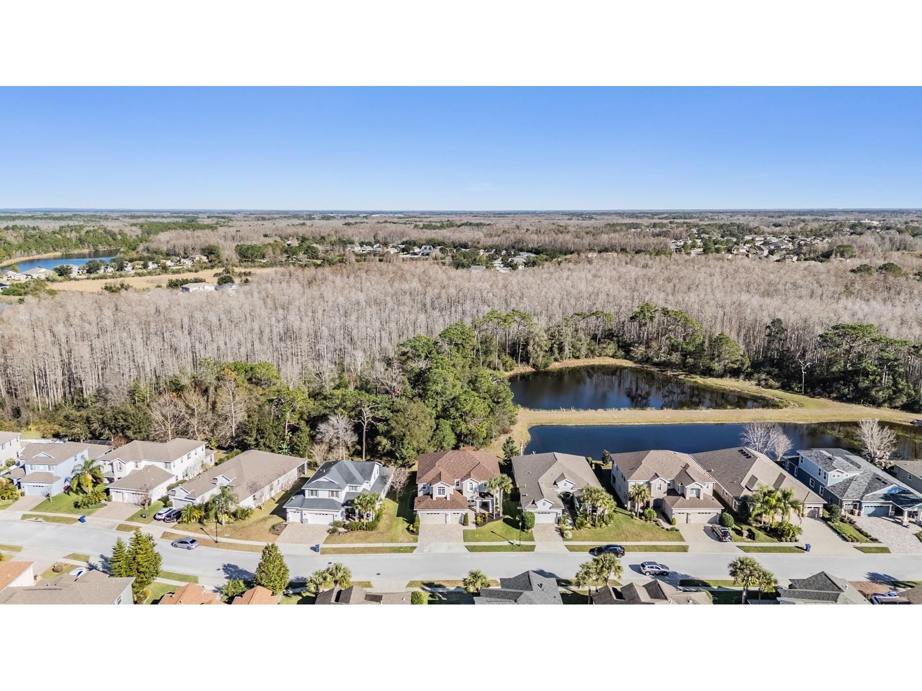 8506 Eagle Brook Drive Land O Lakes FL 34638 TB8469210 image52