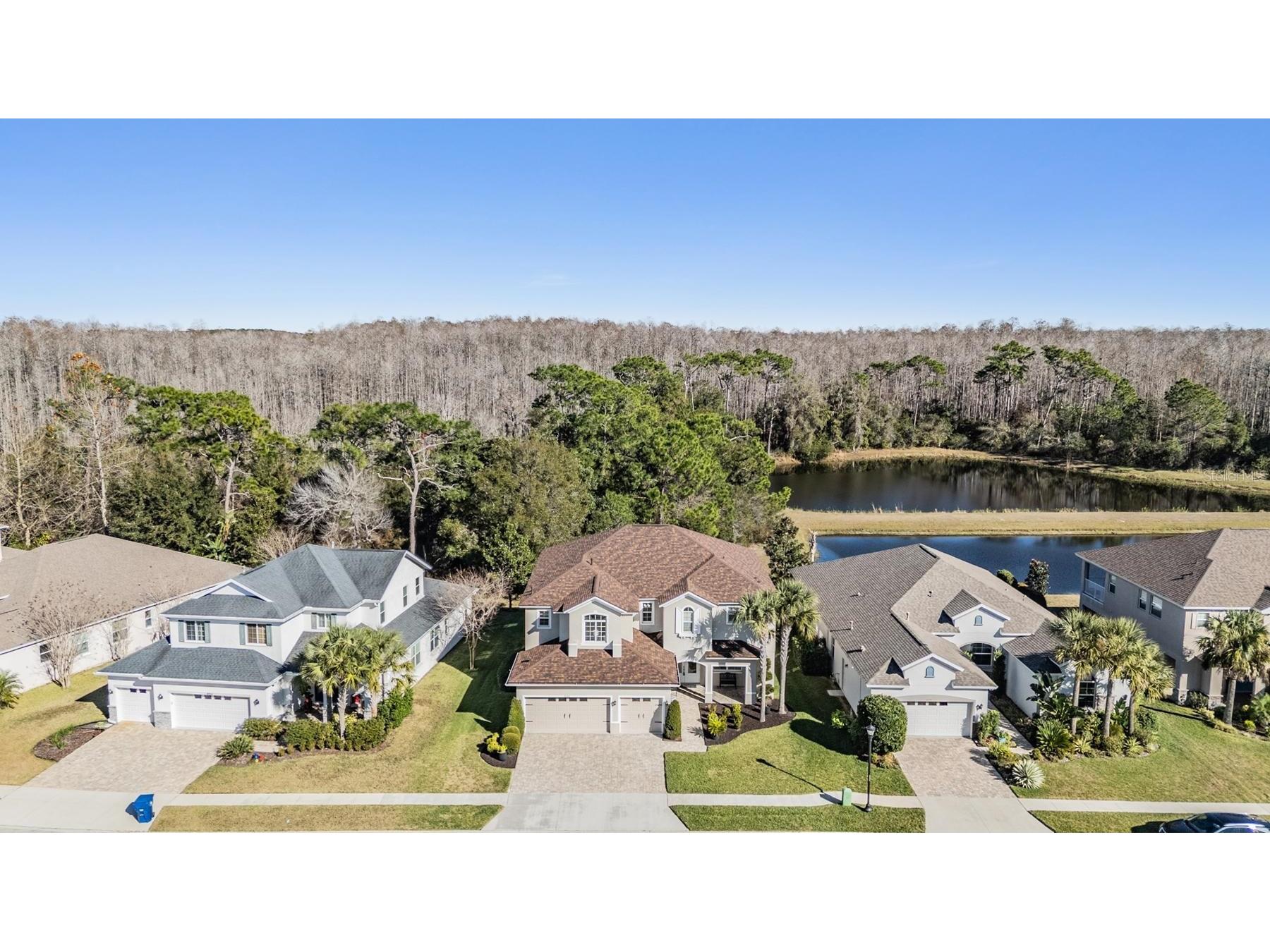 8506 Eagle Brook Drive Land O Lakes FL 34638 TB8469210 image53