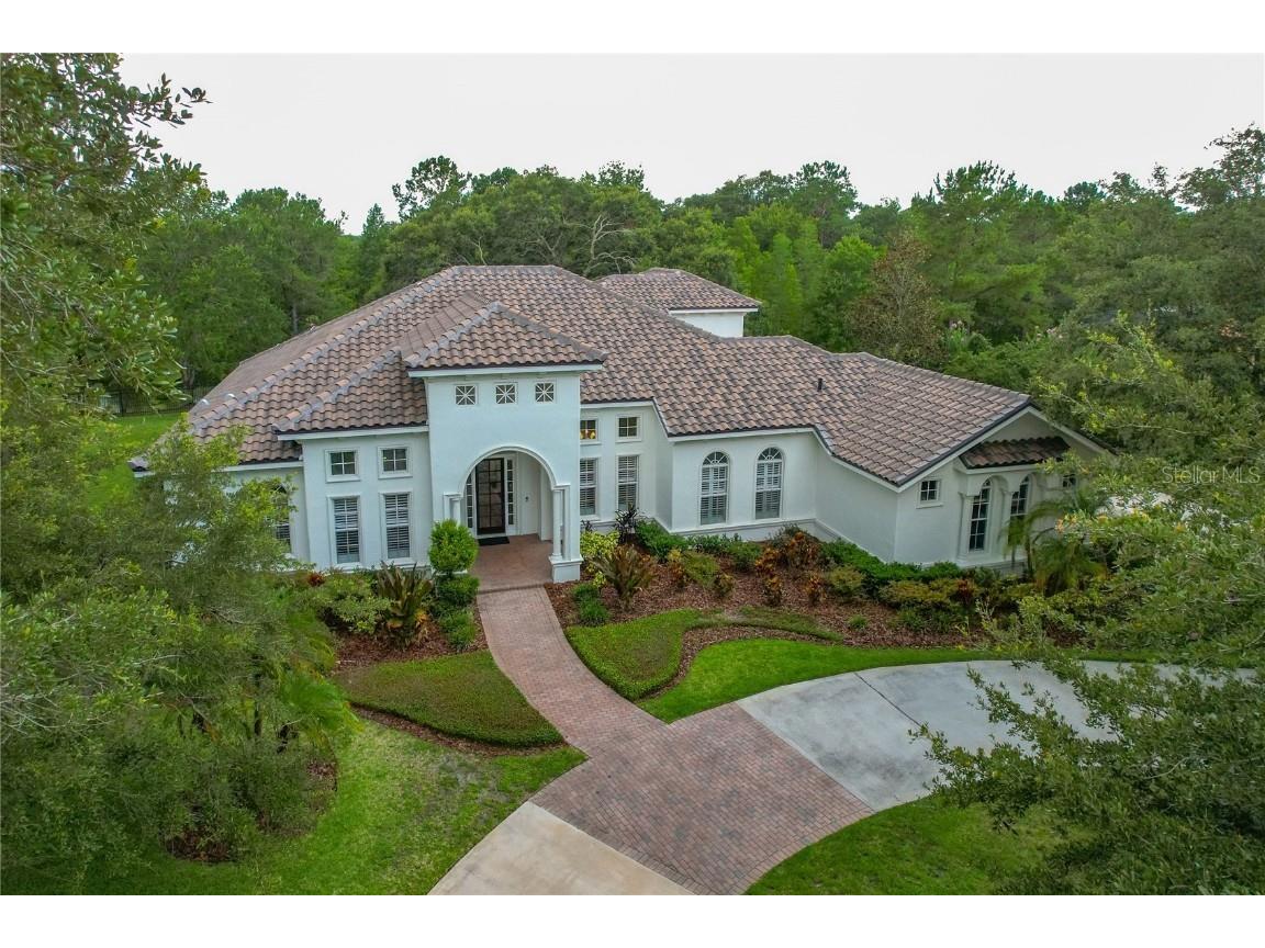 8506 Kentucky Derby Drive Odessa FL 33556 T3457125 image1