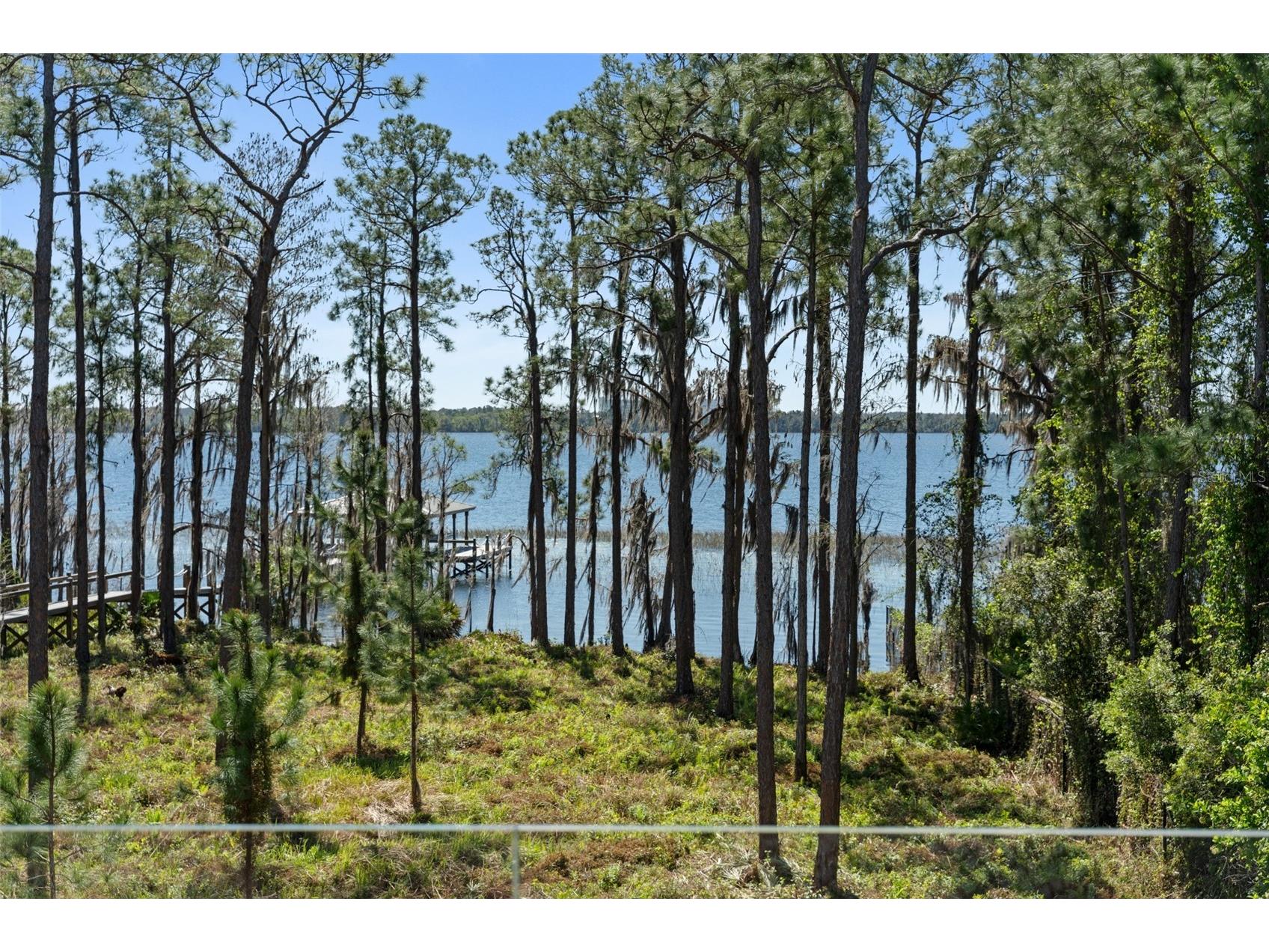8506 Lake Nona Shore Dr Orlando FL 32827 - LAKE NONA O6392916 image44